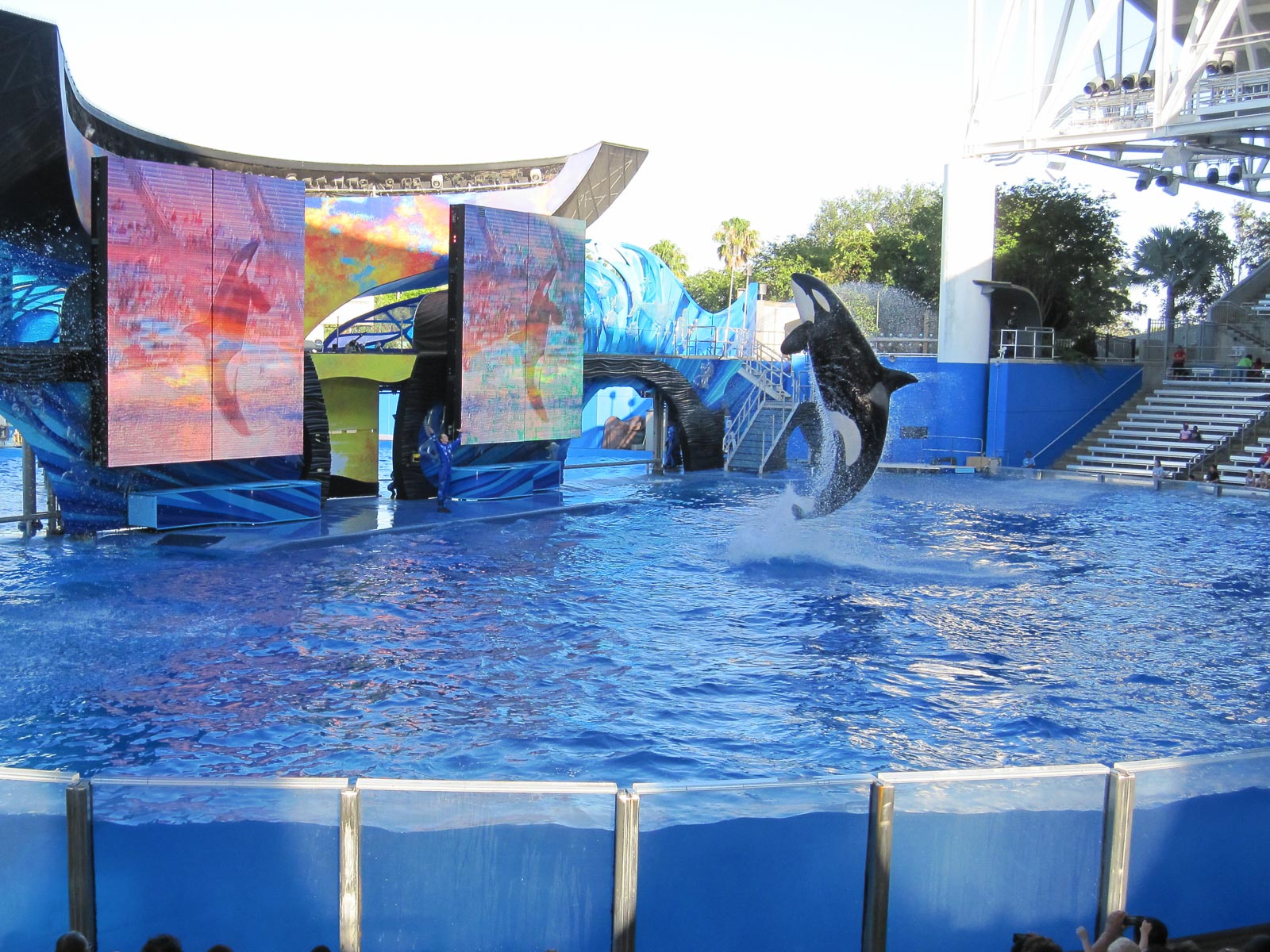 12 04b Orlando SeaWorld 018 IMG 3399