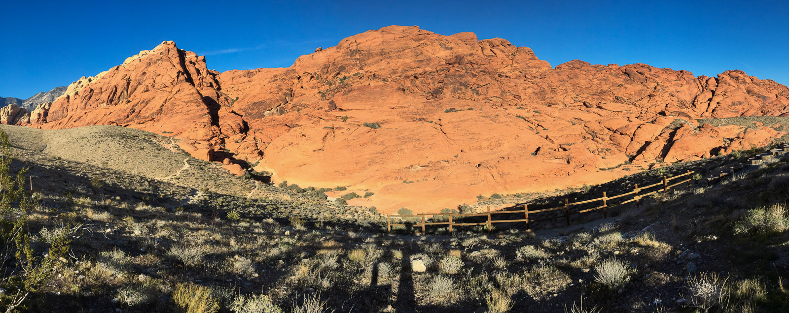 07 052 iPhone6 Steph IMG 4702